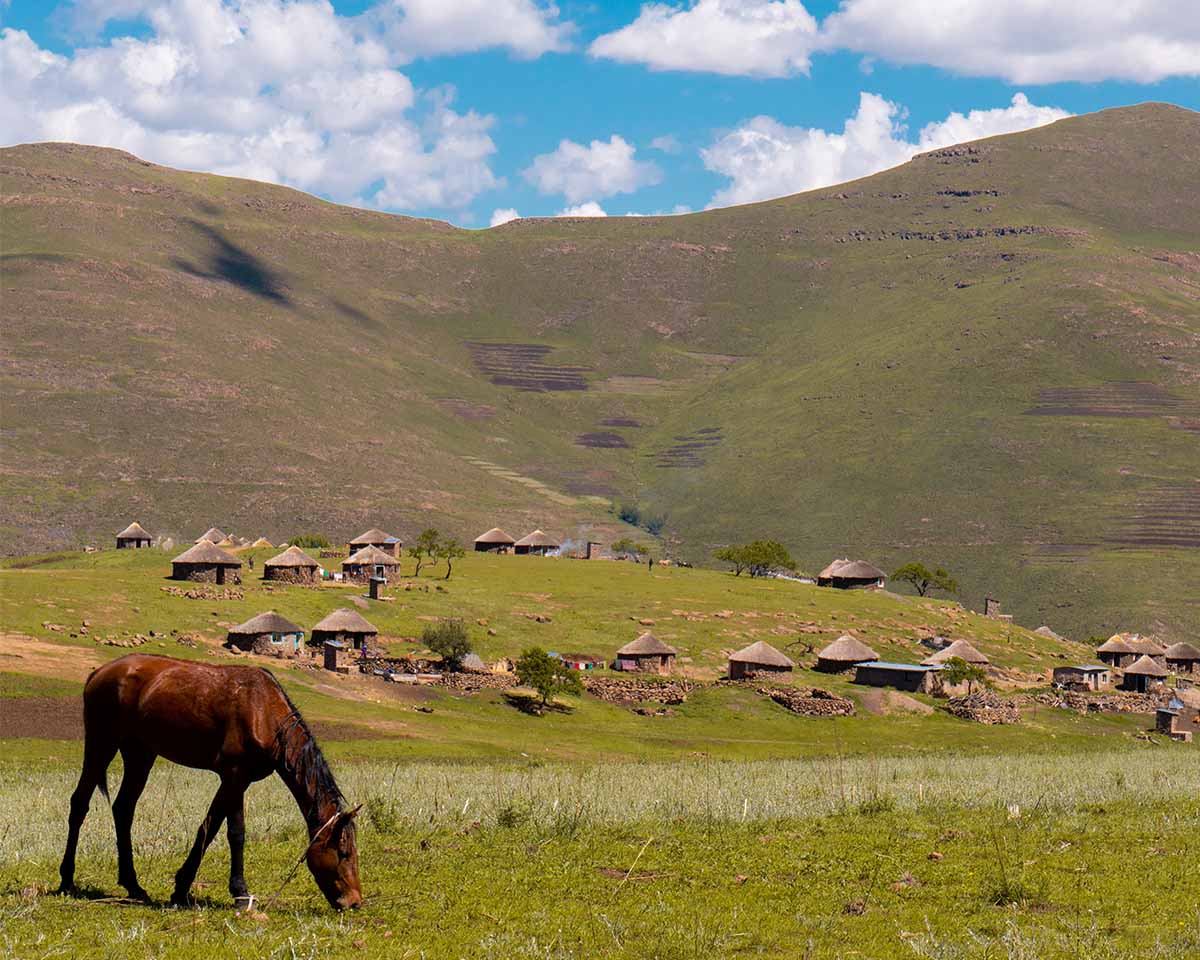 A horse enjoying some fresh grass in front of a remote village in Lesotho
